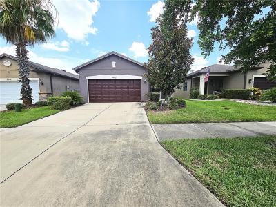 8402 Red Spruce Avenue, Riverview, Florida 33578, USA