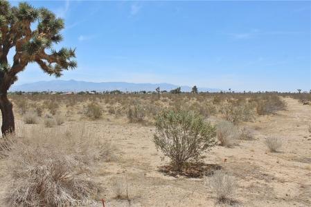111 Nyack Road, Victorville, California 92392, Estados Unidos
