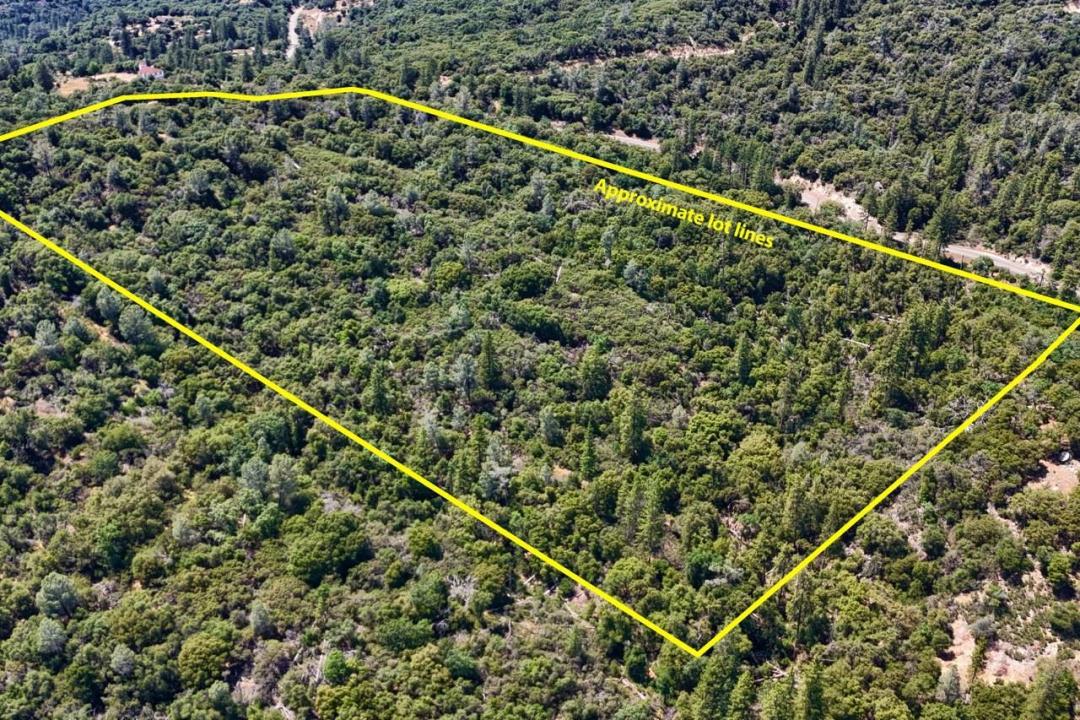 Leaning Pine Way 44.51AC, Mariposa, Califórnia 95338, Estados Unidos