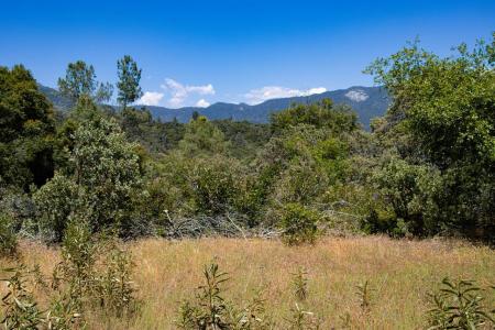 Leaning Pine Way 44.51AC, Mariposa, Califórnia 95338, Estados Unidos