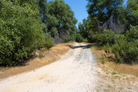 Leaning Pine Way 44.51AC, Mariposa, Califórnia 95338, Estados Unidos
