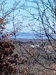 1 Mile Road, Stigler, Oklahoma 74462, États-Unis