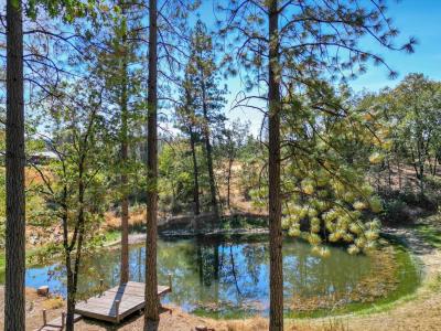 11722 Logans Run Court, Grass Valley, Kalifornia 95945, USA