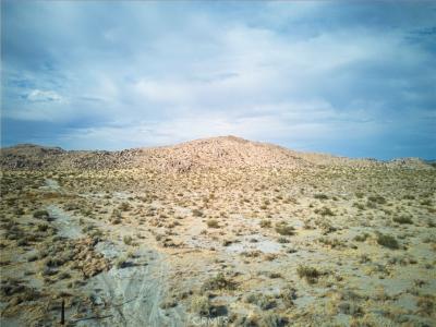1 St Anthony Avenue, Adelanto, California 92301, Estados Unidos