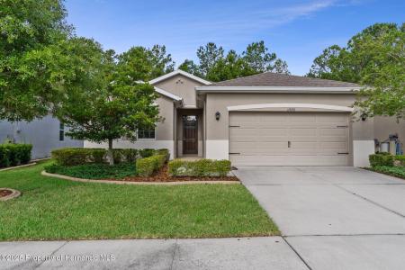 17843 Garsalaso Circle, Brooksville, Florida 34604, USA