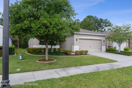 17843 Garsalaso Circle, Brooksville, 플로리다 34604, 미국