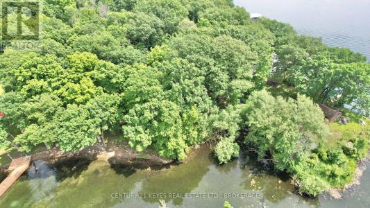 0 TREEMONT ISLAND, Frontenac Islands (the Islands), Ontario K7G 3C9, Canada