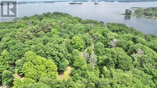 0 TREEMONT ISLAND, Frontenac Islands (the Islands), Ontario K7G 3C9, Canada