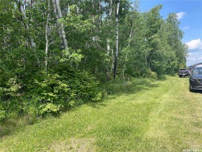 8 FRESNO STREET, Big River Rm No. 555, Saskatchewan S0J 0E0, Canada