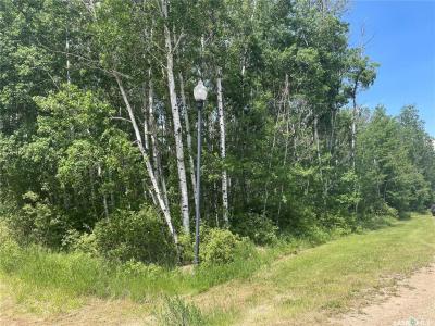 8 FRESNO STREET, Big River Rm No. 555, Saskatchewan S0J 0E0, Canada