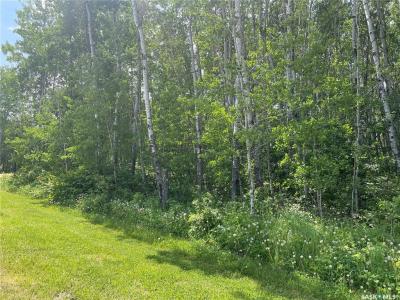 8 FRESNO STREET, Big River Rm No. 555, Saskatchewan S0J 0E0, Canada