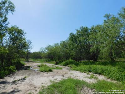 1590 Mccauley Rd, Floresville, Texas 78114, USA