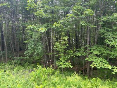 00 VT Route 105, Brighton, Vermont 05846, Estados Unidos