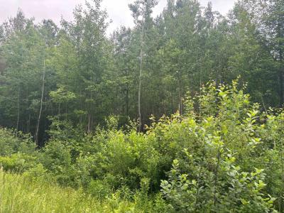 00 VT Route 105, Brighton, Vermont 05846, Estados Unidos
