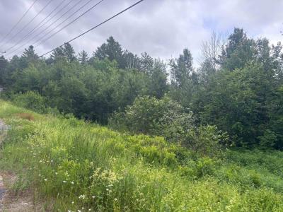 00 VT Route 105, Brighton, Vermont 05846, Estados Unidos