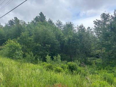 00 VT Route 105, Brighton, Vermont 05846, Estados Unidos