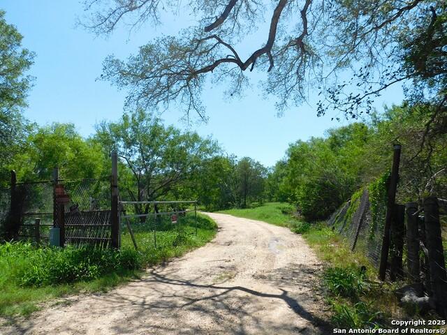 1590 Mccauley Rd, Floresville, 德克薩斯州 78114, 美國