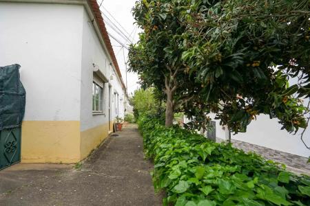 Alcanena, Santarém 2380-660, Portugal