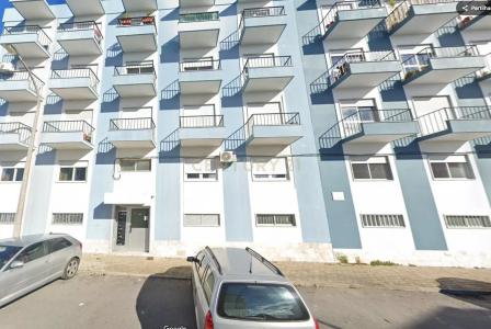 Montijo, Setúbal 2870-147, Portugal