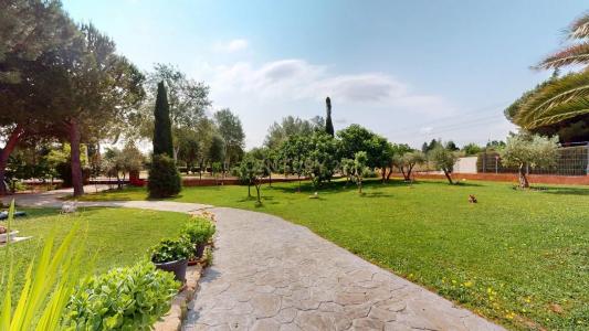 Madrid, Comunidad de Madrid 28815, Spain