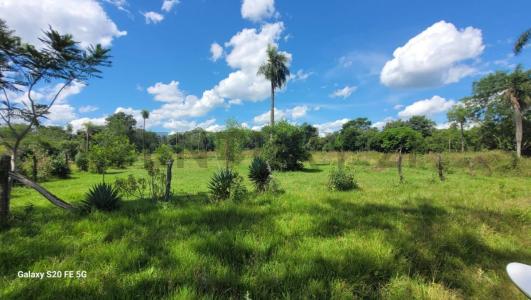 Colonia Potrero Benítez , San Juan Del Paraná, Itapúa 00001, 巴拉圭