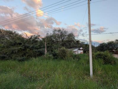 Forestal , Loma Plata, Boquerón 00001, Paraguay