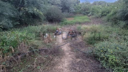 Loma Plata, Boquerón 00001, 巴拉圭