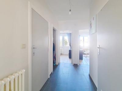 Rue de l'Ancien Presbytère 35, Ganshoren, 1083, 벨기에
