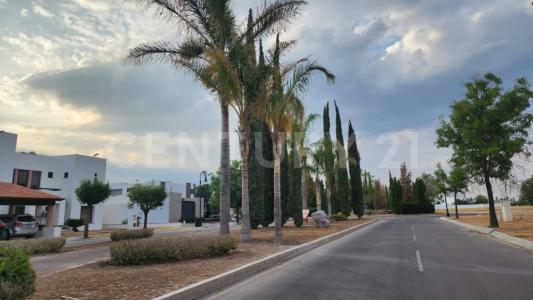 Privada Real de San Javier 1406 L 6 Mnz 28,, Jesús Maria, Aguascalientes 20900, México