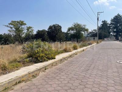 LOS PINOS 53,, Xaloztoc, Tlaxcala 90460, Mexique