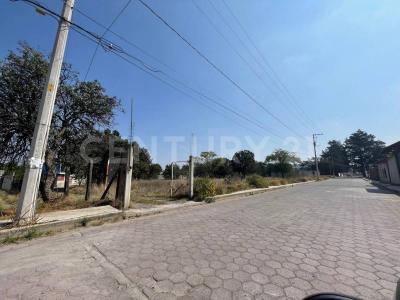LOS PINOS 53,, Xaloztoc, Tlaxcala 90460, Mexique