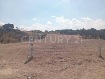 San Juan Del Río, 克雷塔罗 76838, 墨西哥