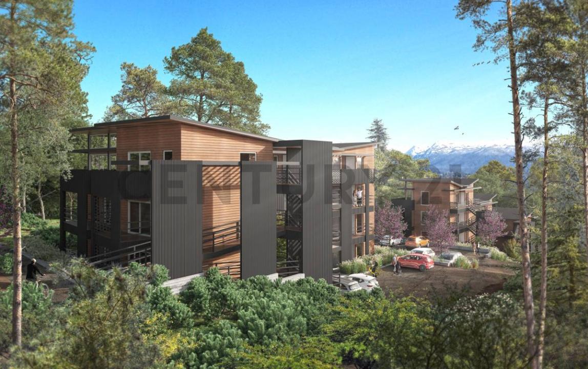 Villa La Angostura, Neuquén 8407, Argentina