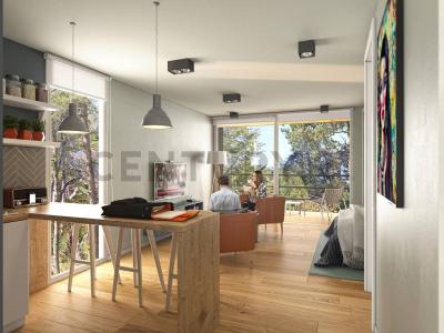 Villa La Angostura, Neuquén 8407, Arjantin