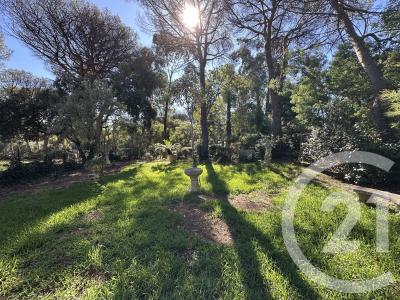 Gassin, Provence-Alpes-Côte D'Azur 83580, France