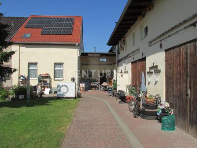Zellendorf, Brandenburg 14913, Germany