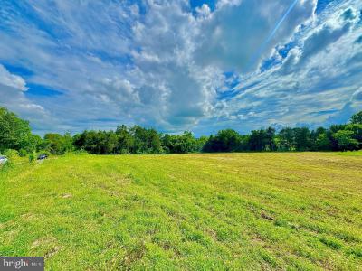 Lot 8 Zachary Taylor Hwy, Unionville, バージニア 22567, アメリカ合衆国