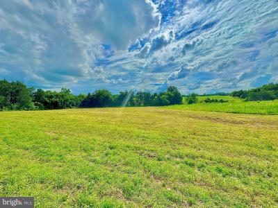 Lot 9 Zachary Taylor Hwy, Unionville, バージニア 22567, アメリカ合衆国