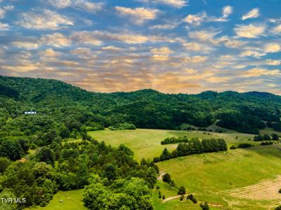 592 Melinda Ferry Road, Rogersville, Tennessee 37857, Stati Uniti