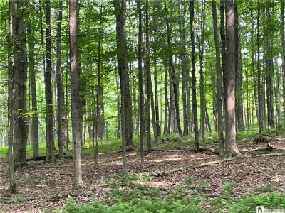 1479 Orr St. Ext. , Jamestown, New York 14701, HOA KỲ