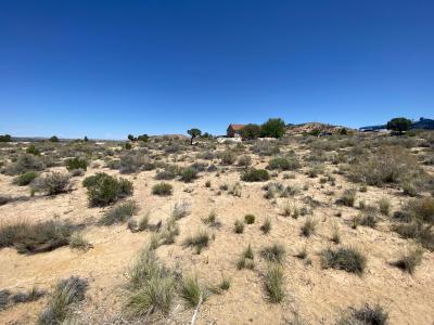 Lots 26 & 27 .69 ac Road 34931, Farmington, Nouveau-Mexique 87401, États-Unis
