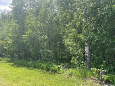 7 FRESNO STREET, Big River Rm No. 555, Saskatchewan S0J 0E0, Canada