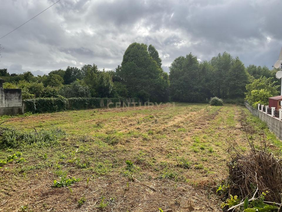 ויאנה דו קשטלו, ויאנה דו קשטלו 4925-417, פורטוגל 