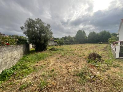 ויאנה דו קשטלו, ויאנה דו קשטלו 4925-417, פורטוגל 