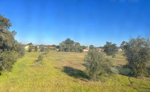 Castelo Branco, Castelo Branco 6000-560, Portugal