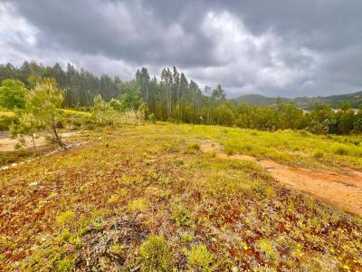 Loures, Lisbona 2670, Portogallo