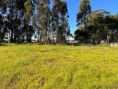 Castelo Branco, Castelo Branco 6000-560, Portugal