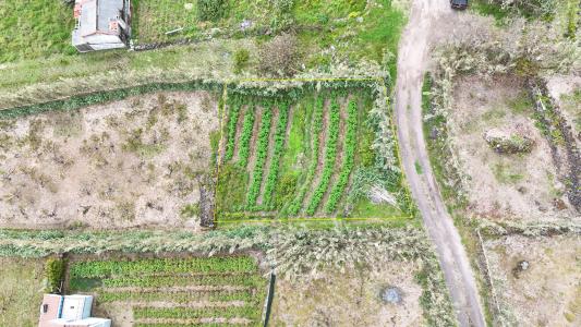 Povoação, 상미겔 섬 9650-060, 포르투갈