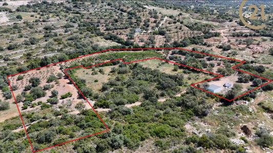 Olhão, Фару 8700-100, Португалия