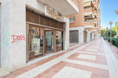 Barcelona, Cataluña/Catalunya 08917, España